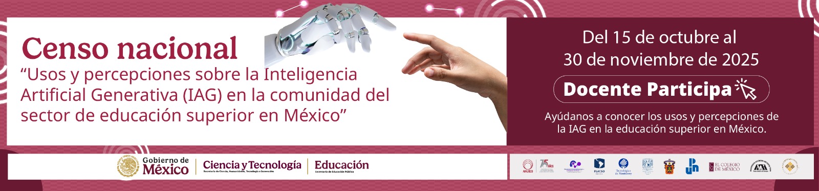 Censo Nacional - Docente